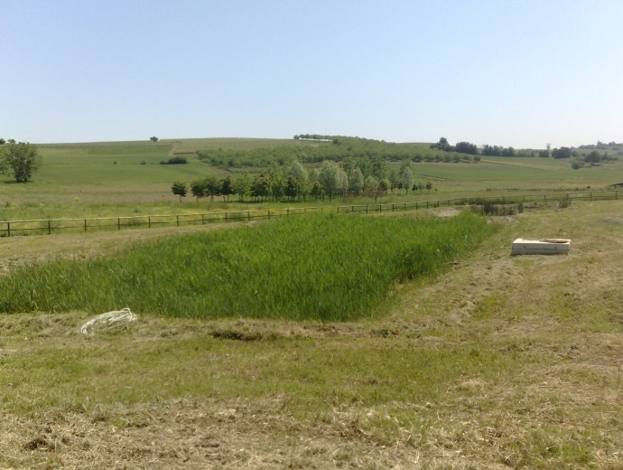 IRIDRA progetto per Cantina sociale di Casorzo (AT)