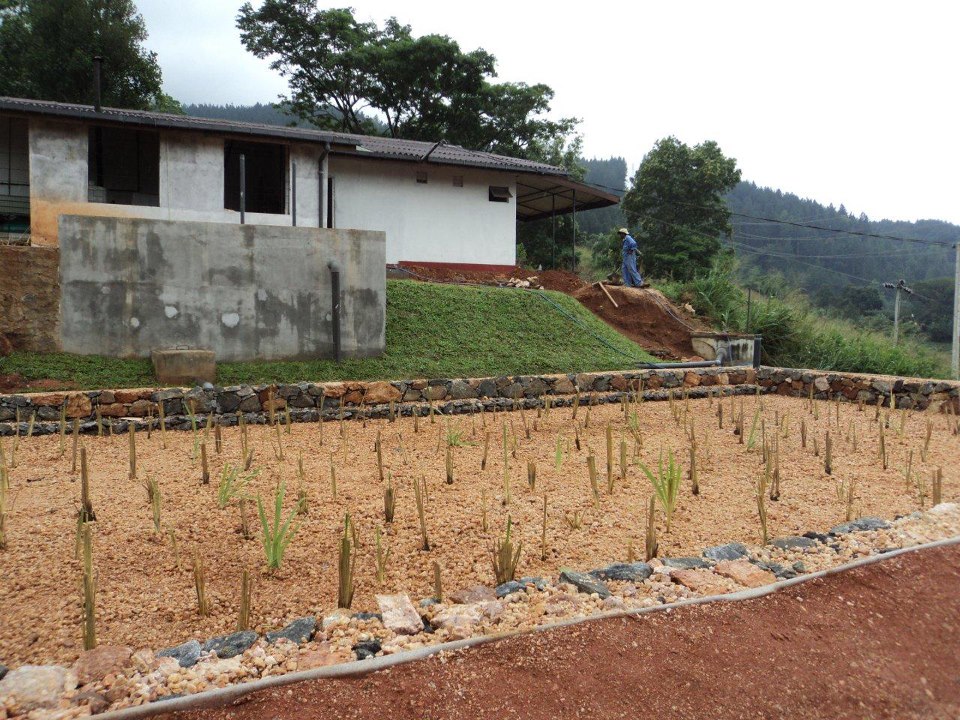IRIDRA progetto per Caseificio, Kandy (Sri Lanka)