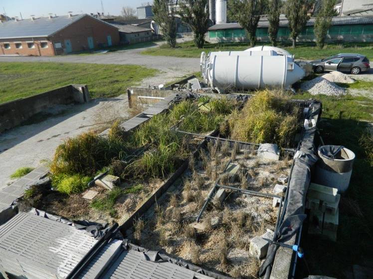 IRIDRA progetto per Allevamento suinicolo di S.A.S.A. S.r.l., Magnacavallo (MN)