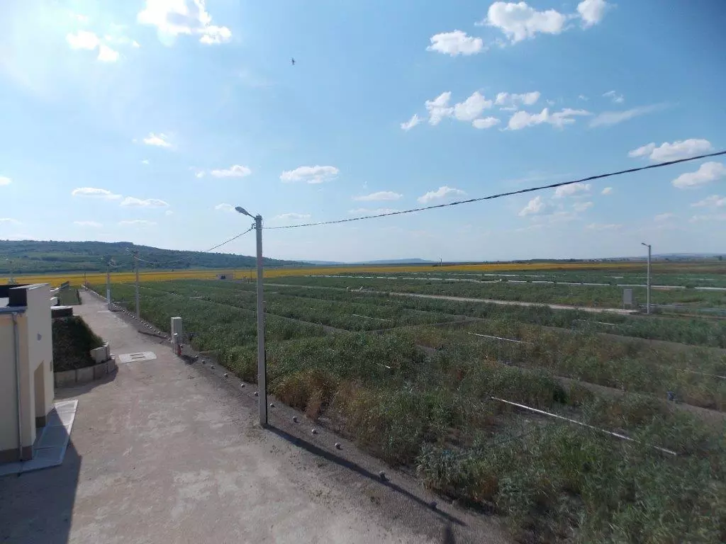IRIDRA progetto per città di Ohrei